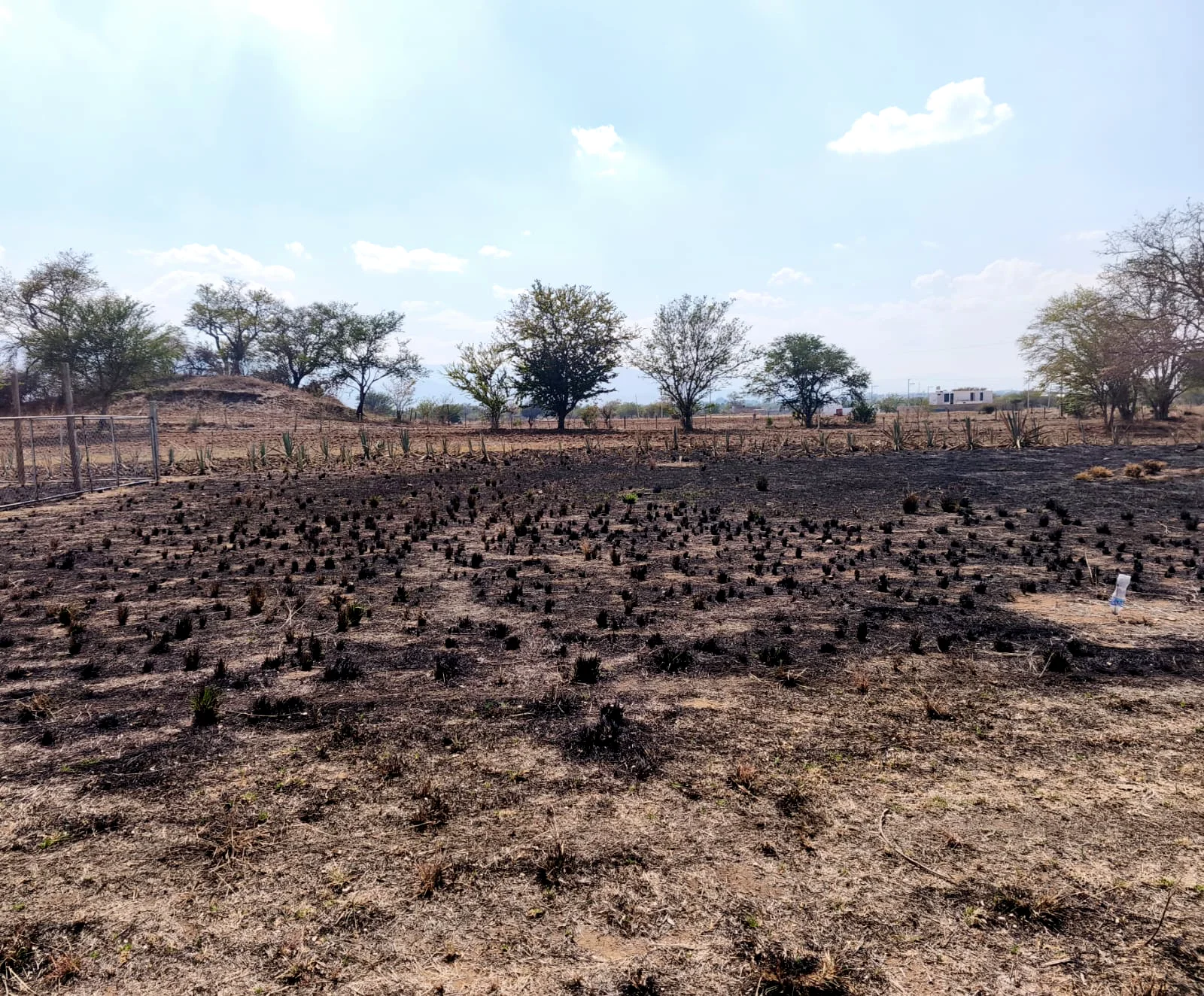 Venta de Lote en San Raymundo Jalpan